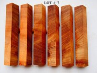 LOT  #  7.jpg