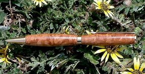 Brown Mallee Burl 6.JPG