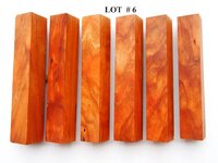 LOT  #  6.jpg
