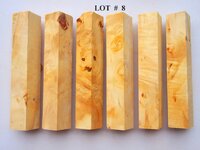 LOT  #  8.jpg