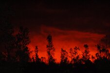 DSC_7979.jpg