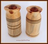 NFIP Salt & Pepper Shakers 1F+ (2955 x 2719).jpg