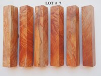 LOT  #  7.jpg