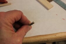IMG_0638.jpg