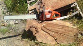 spalted maple burl huge.jpg