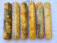 LOT  #  1.jpg