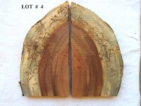 LOT # 4.jpg