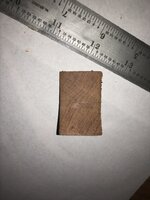 IMG_1233.jpg