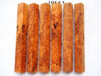 LOT # 9.jpg