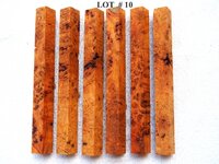 LOT  #  10.jpg