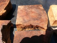 20180721_120247.jpg