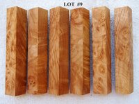 LOT  #  9.jpg