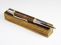 pen 1.jpg