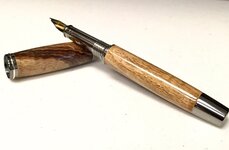 pen 14c.jpeg