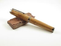 pen 24a.JPG