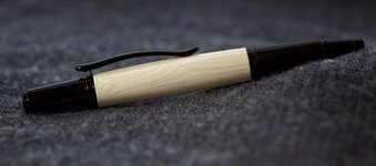 pen 1b.jpg