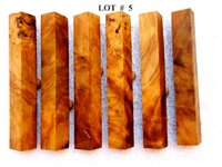 LOT  #  5.jpg