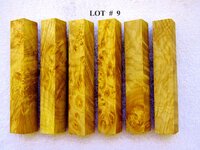 LOT  #  9.jpg