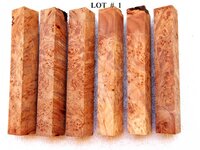LOT  #  1.jpg