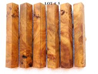 LOT  #  5.jpg