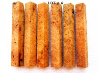 LOT  #  6.jpg