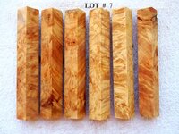 LOT  #  7.jpg
