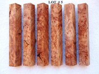 LOT  #  5.jpg