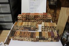 IMG_1037.jpg