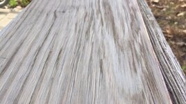 Mystery wood.jpg