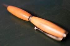 pen_DSC0004.jpg