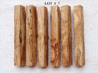 LOT  #  7.jpg