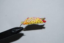 DSC_0075.jpg