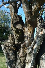 DSC04684.jpg