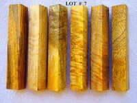 LOT  #  7.jpg