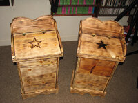 trashcans with stars.jpg