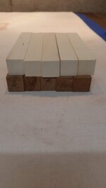 20181020_075015.jpg