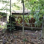 IMG_0265.jpg