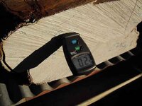 timber preparation 058_(1).jpg
