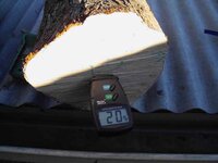 timber preparation 061_(1).jpg
