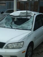car-deer.jpg