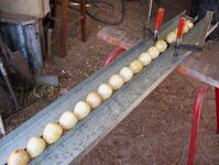 Timbers preparartion 046_(1).jpg