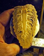 Copy of info 021_edited-1.jpg