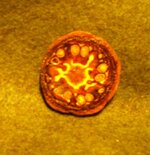 pine cone slim 003.jpg