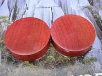 Bloodwood1.5.jpg