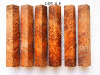 LOT  #  8.jpg
