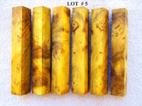 LOT  #  5.jpg