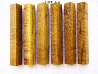 LOT  #  6.jpg