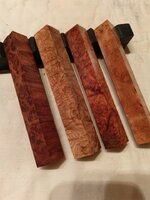 IMAG0394.jpg