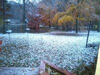 20181109_070553.jpg
