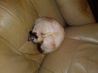 20181110_200331.jpg